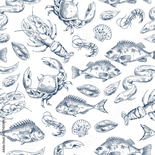 Crawfish and Fishes Sketch Vector Illustration