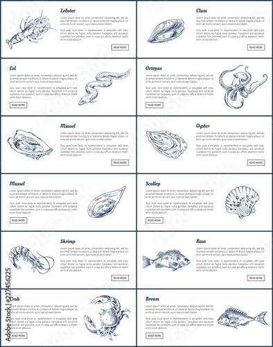 Seafood and Fish Sketch Engraving Illustration