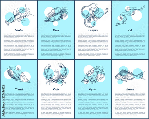 Lobster and Bream Fish Set Vector Illustration