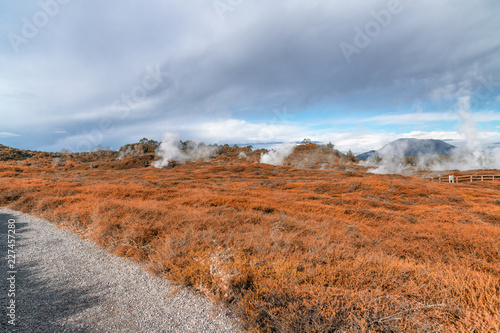 Craters of The Moon, landscape of beautiful geysers, Taupo - New Zealand © jovannig