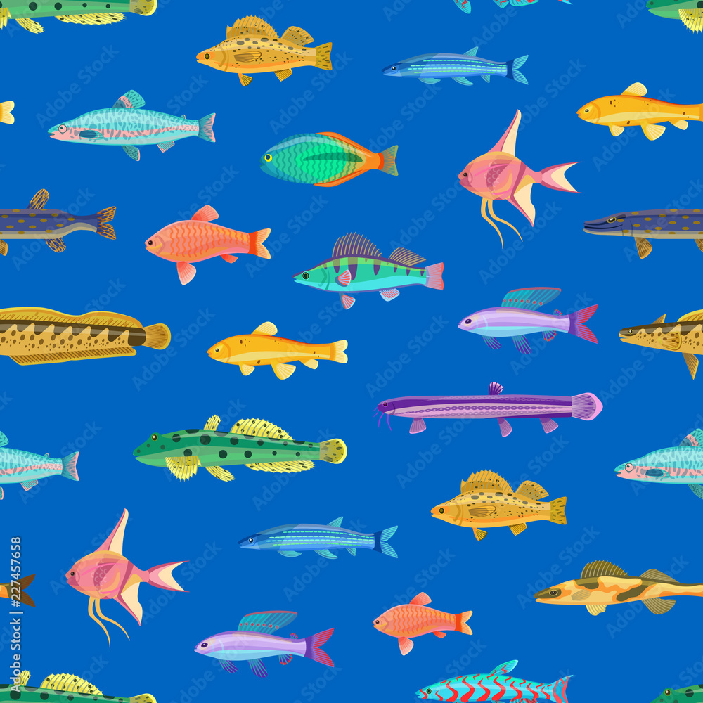 Varicoloured Marine Creatures Seamless Pattern Varicoloured Marine Creatures Seamless Pattern