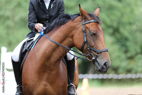Unknown horse rider riding on equestrian event with the ribbons rosette of winners © acceptfoto