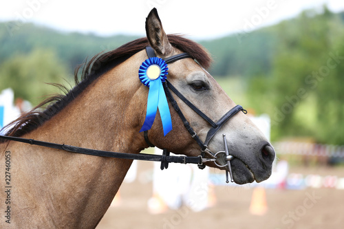 Unknown horse rider riding on equestrian event with the ribbons rosette of winners