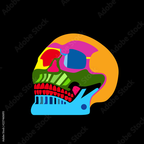 Day of the dead colorful skull icon art 