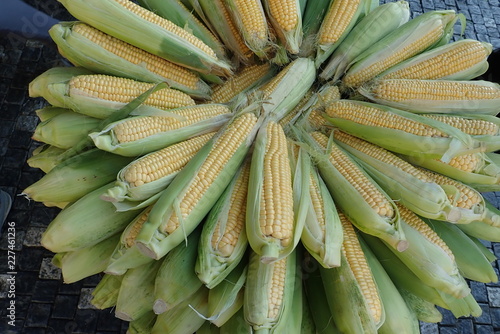 round pile of ripe corn at the market