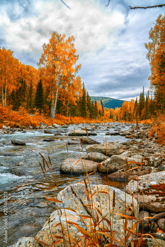Autumn on the river. Altai. Kazakhstan.