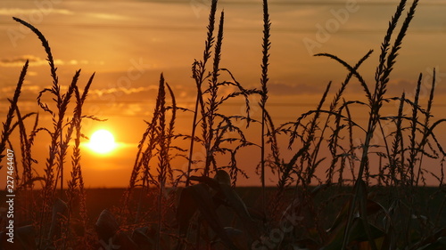 Zachód słońca nad polami regionu Śląsk w Polsce. Pora to początek jesieni.