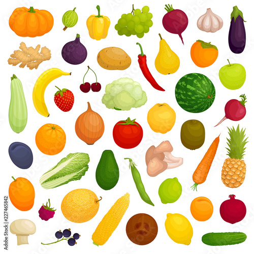 Fototapeta Naklejka Na Ścianę i Meble -  Banner with a set of fruits, vegetables, berries and mushrooms. Variety of plant foods. Vector illustration in cartoon style.