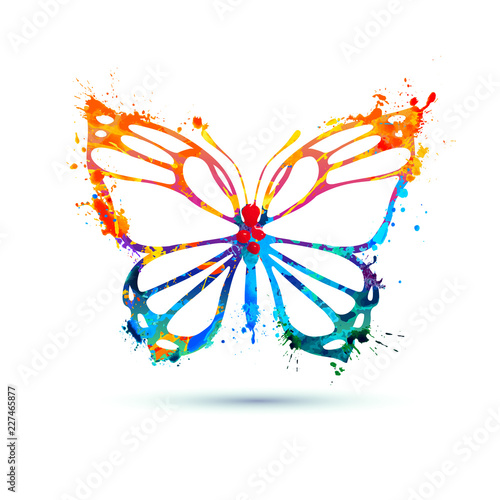 Splash paint butterfly icon on white background
