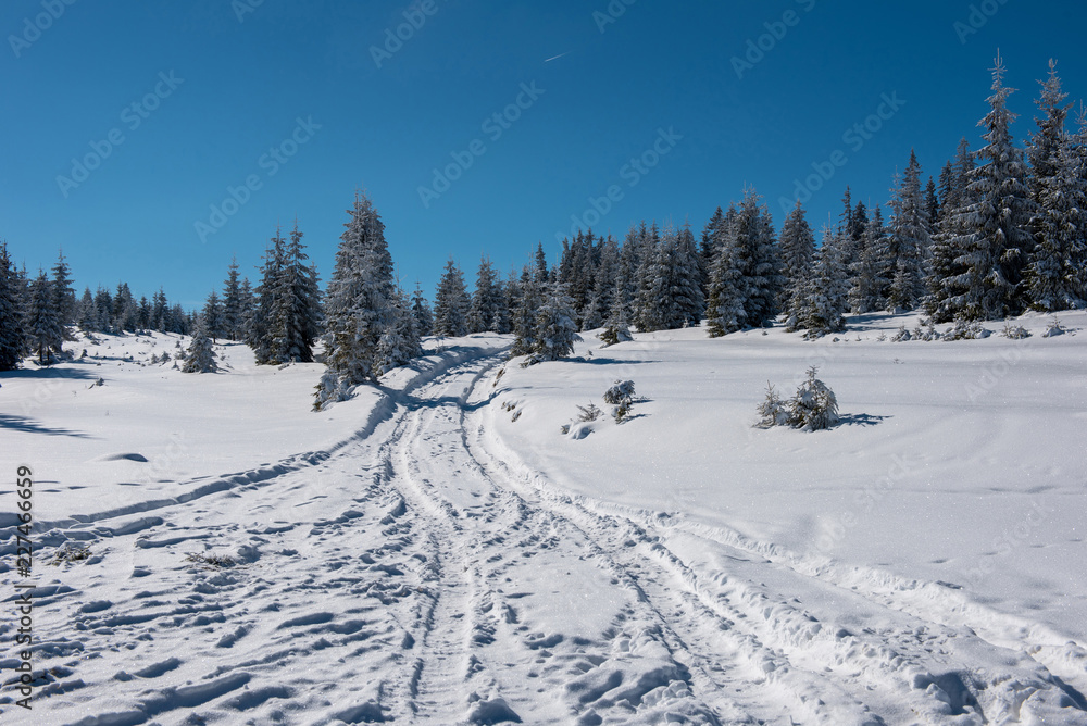 Snowy mountain country road