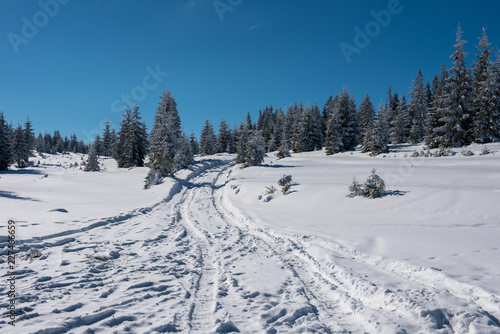 Snowy mountain country road © salajean