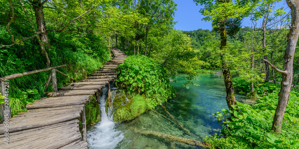 PLITVICE NATIONAL PARK, CROATIA - JUNE 8, 2018: Tourist group by the lake in the Plitvice Lakes National Park. PLITVICE NATIONAL PARK, CROATIA - JUNE 8, 2018: Tourist group by the lake in the Plitvice Lakes National Park.