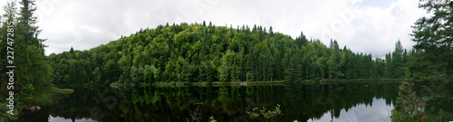 Panorama von Wald vor tiefdunkelem See