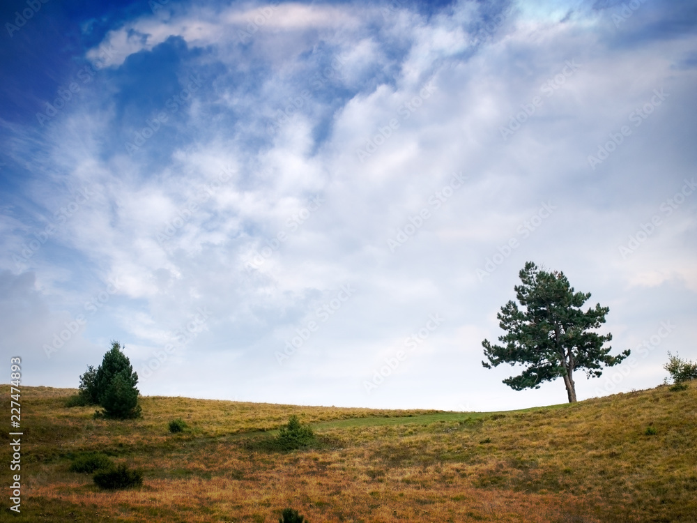 Open countryside horizon with tree, bush and dramatic blue and cloudy sky. Plenty of copyspace. Open countryside horizon with tree, bush and dramatic blue and cloudy sky. Plenty of copyspace.