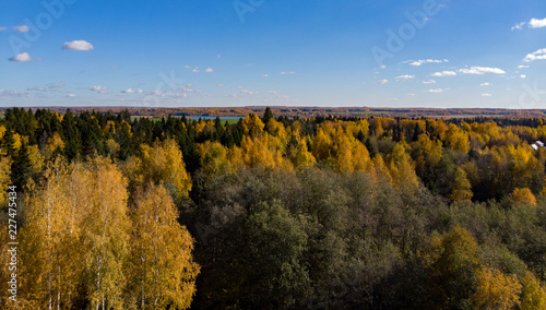 View from the height of the beautiful autumn forest