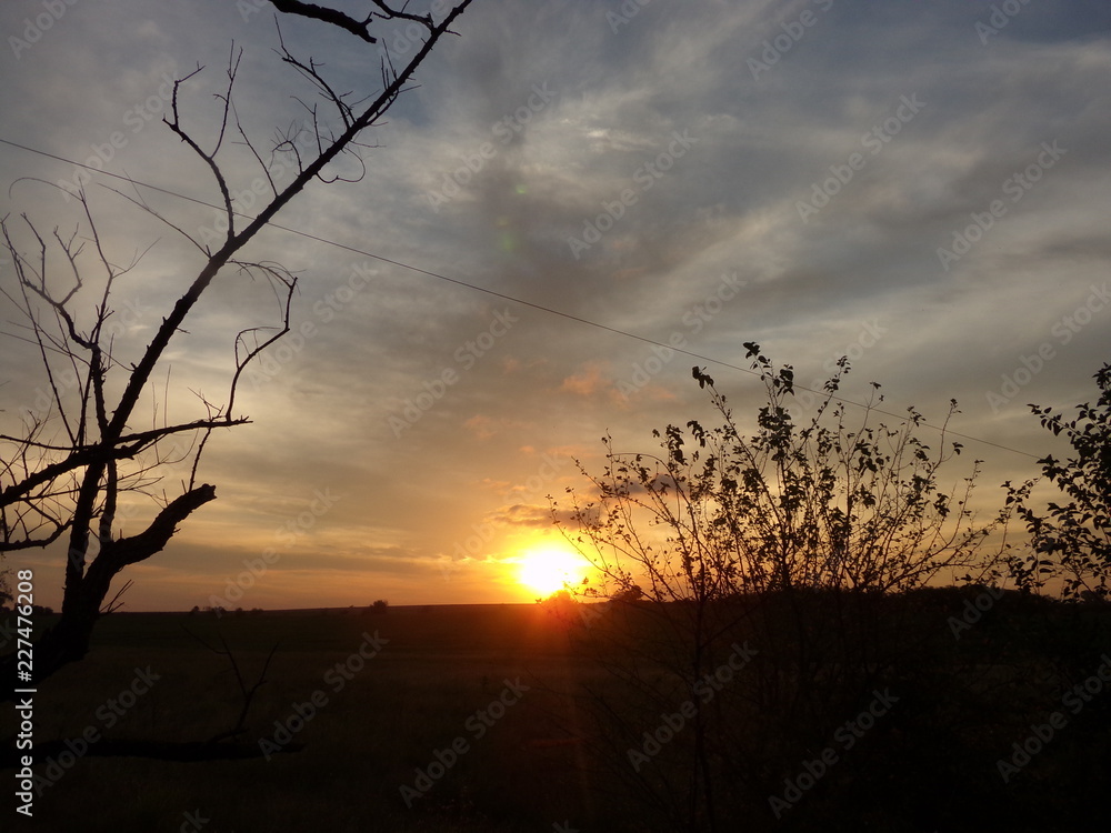 Naklejka premium KODAK Digital Still Camera