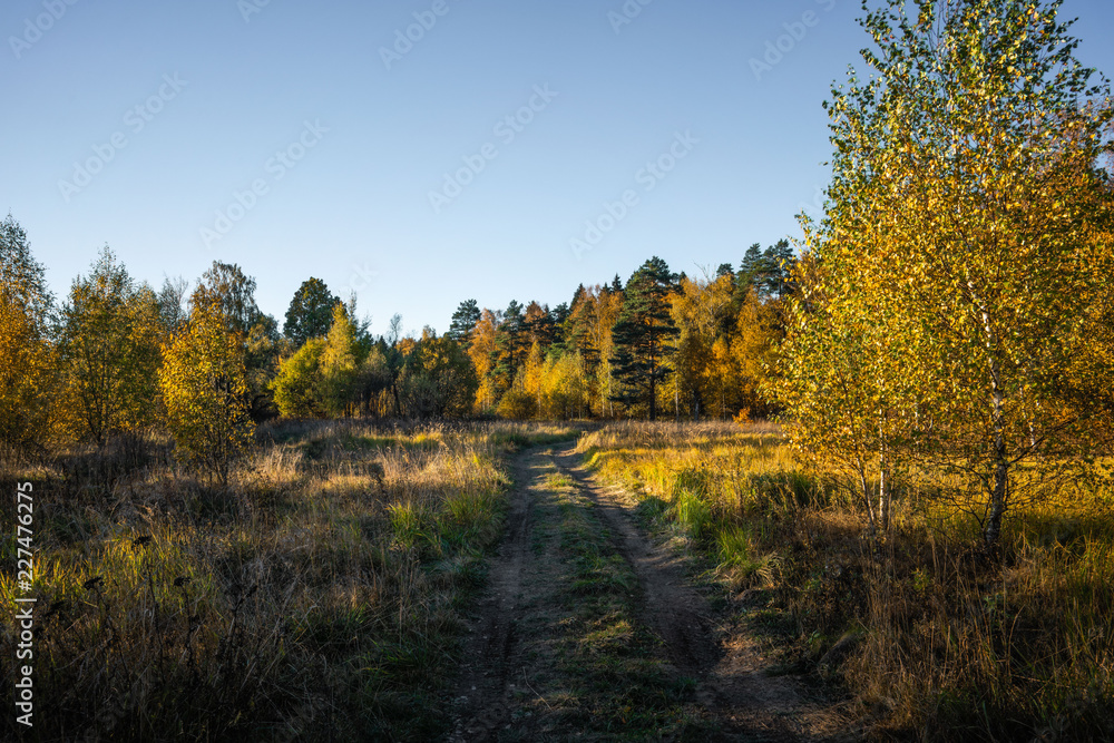 autumn in the park