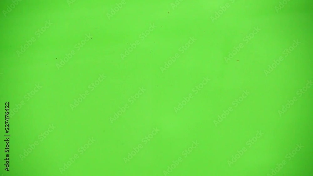 Falling of segments of carrots and parsley. Slow motion. Falling of segments of carrots and parsley. Slow motion.