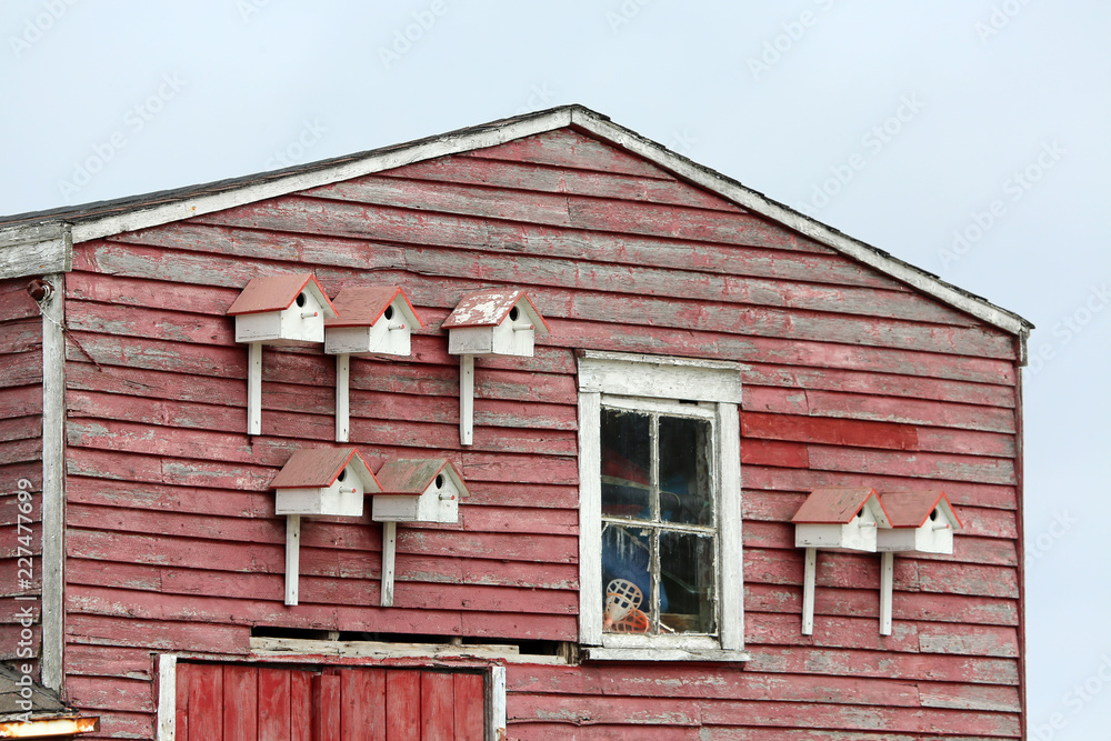 detail of red sided store house with multiple bird houses, Fogo Island, Newfoundland, Canada