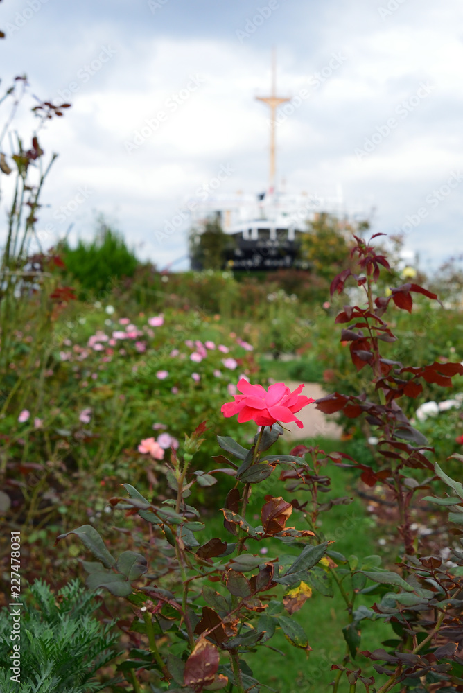 Yokohama flower garden Yokohama flower garden