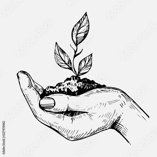 Hand hold plant. Hand drawn illustration converted to vector