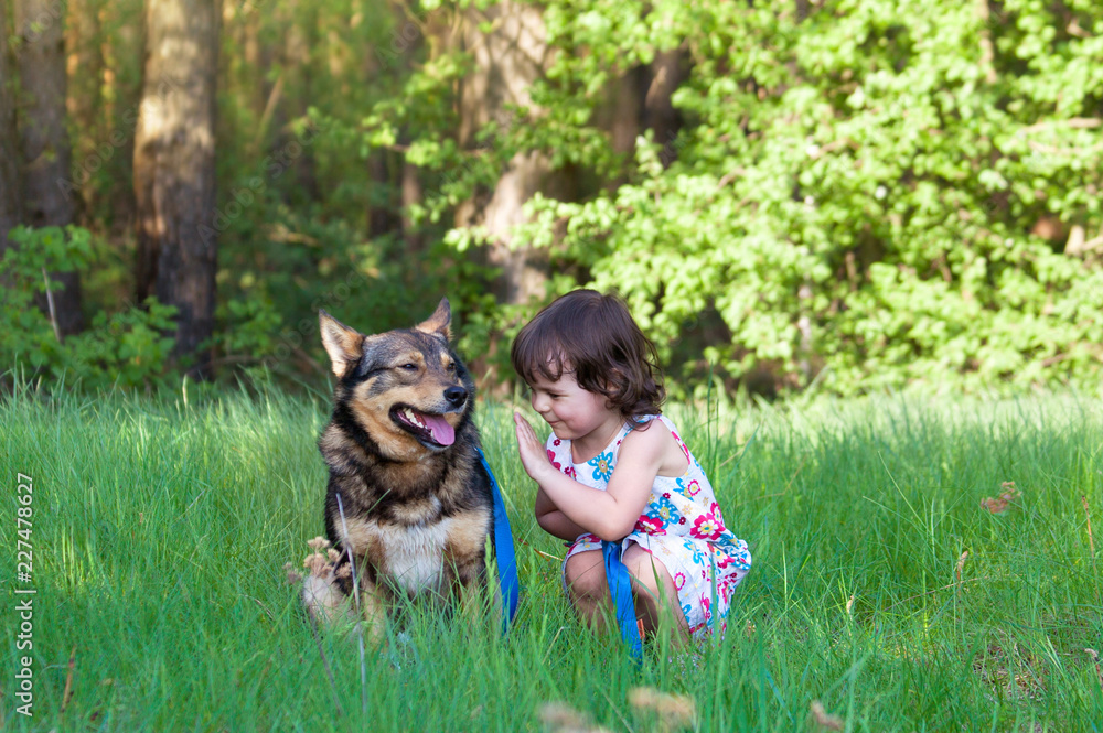 Happy little girl with the dog sits on the green lawn Happy little girl with the dog sits on the green lawn