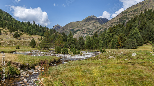 Creek Crossing a Beautiful Valley in the Catalan Pyrenees