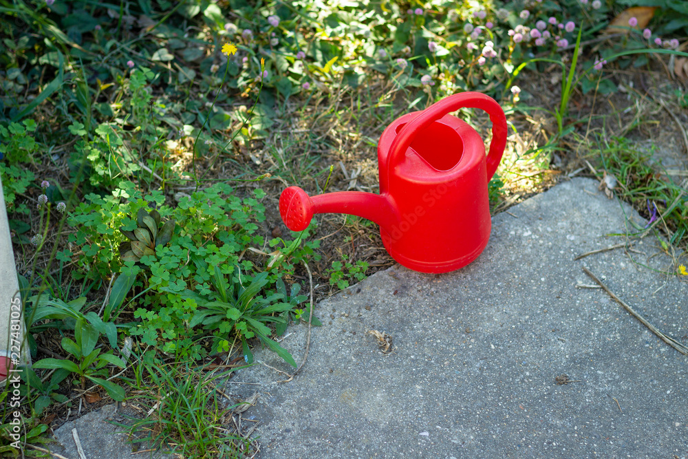 watering can in the garden watering can in the garden
