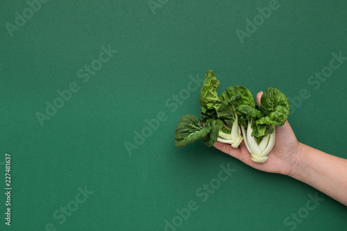 Female hand holding baby spinach on green background