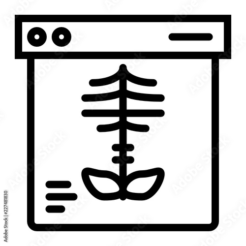 x ray picture