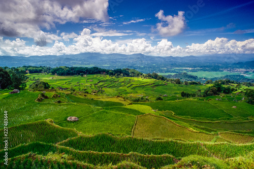 Reisterrassen in Sulawesi - Indonesien