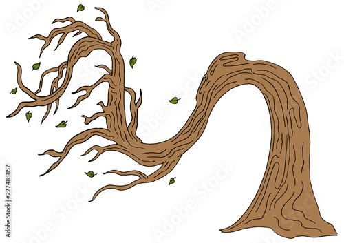 Twisted Windy Day Bending Tree