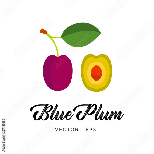 Blue plum with leaf, pit and a stem, vector editable illustration. Flat simple style.