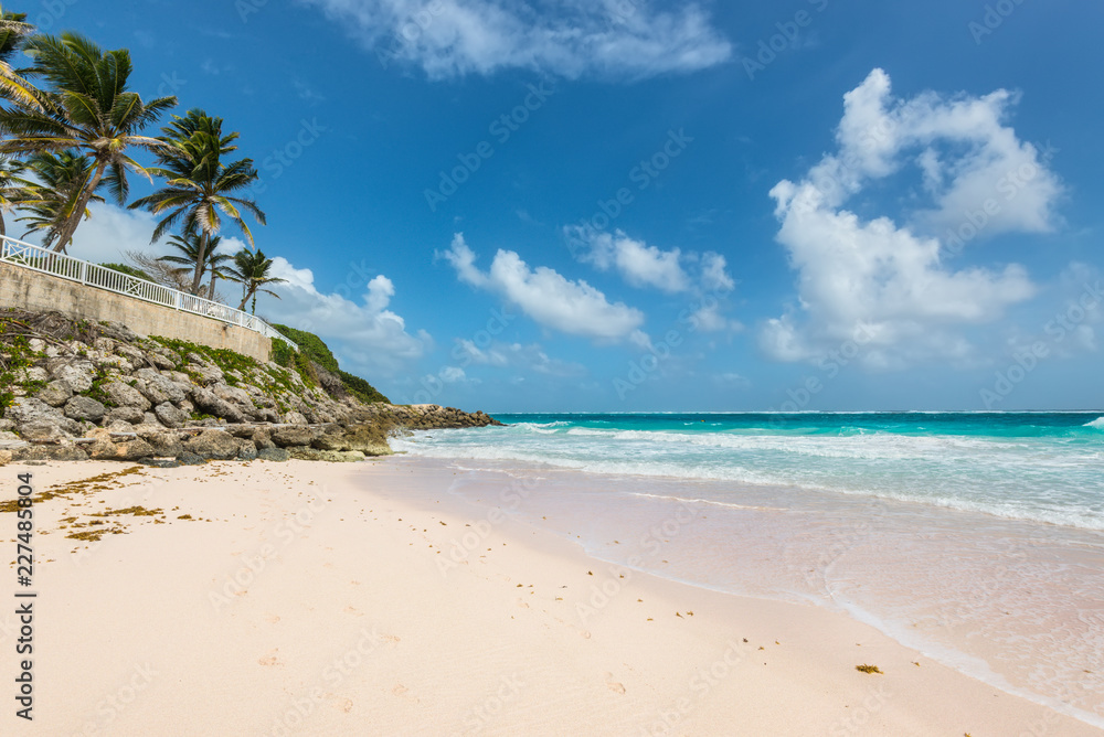 Fototapeta Tropical beach on the Caribbean island - Crane Beach, Barbados. The beach has been named as one of the ten best beaches in the world and it has the pink-tinged sands.