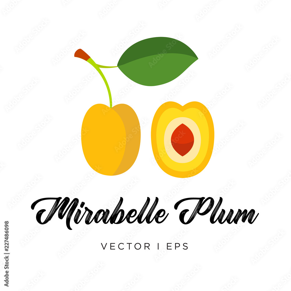 Yellow Mirabelle Plum With Leaf Pit And A Stem Vector Editable Illustration Flat Simple Style Stock Vector Adobe Stock