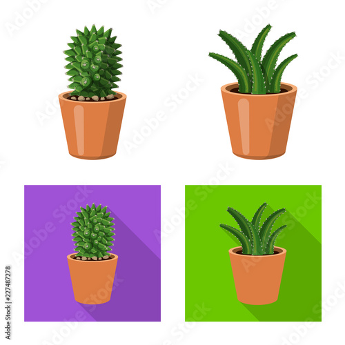 Isolated object of cactus and pot symbol. Set of cactus and cacti vector icon for stock. © Svitlana
