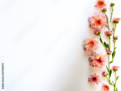 Flowers composition. Frame made of pink flowers and green leaves on white background with space for text. Flat lay, top view, copy space