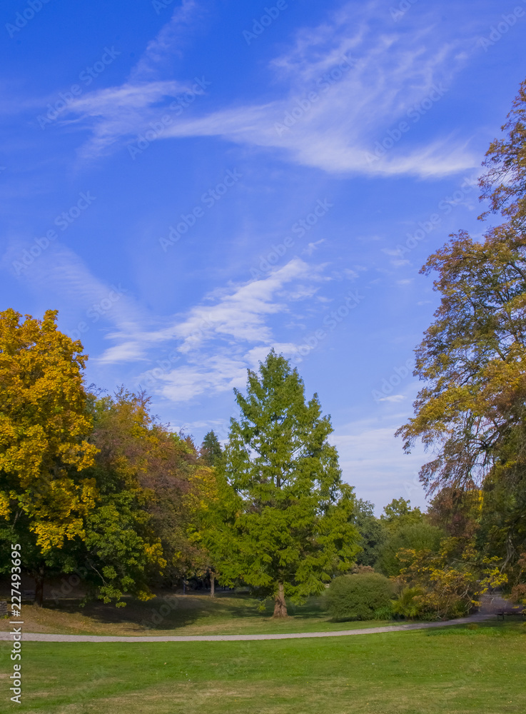 A park. Nature. Landscape. A park. Nature. Landscape.
