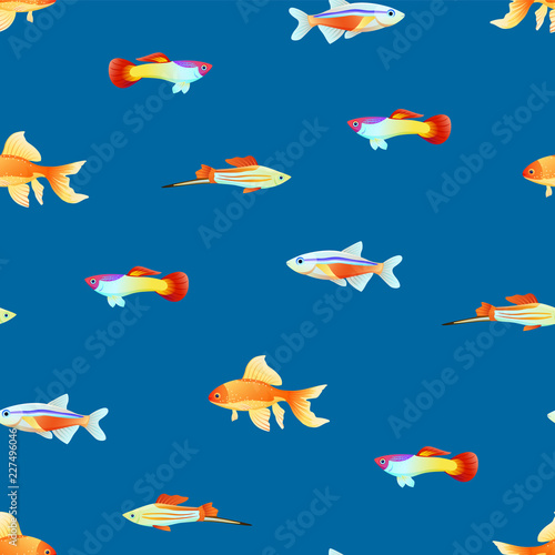 Varicoloured Marine Creatures Seamless Pattern