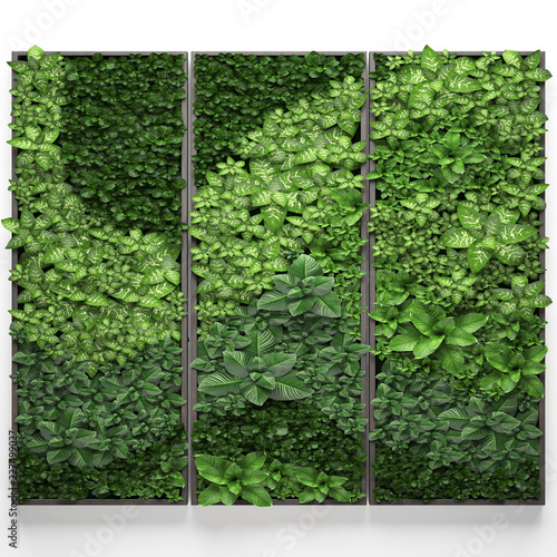 vertical gardening, green wall