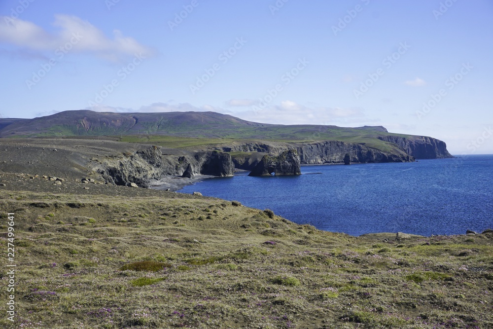 Felsenküste in Nord-Island