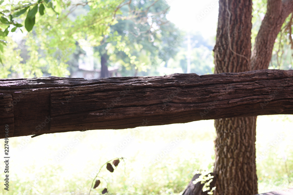 Park view with tree wooden log as park resting outdoor place, Bar made from old tree Park view with tree wooden log as park resting outdoor place, Bar made from old tree