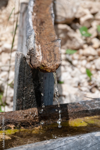 An old tree trunk is used as a through and is being filled by a flow pipe made from a second trunk. Image from the Italian Dolomites on a summer morning. Focus is on the dripping water.