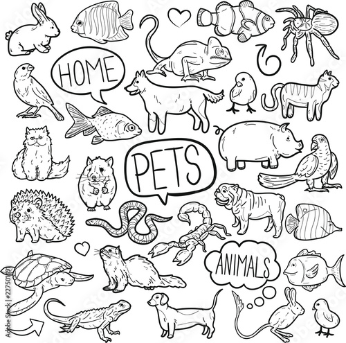 Pet Animal Shop Traditional Doodle Icons Sketch Hand Made Design Vector