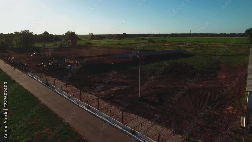 Drone flies to the aviary with cows Drone flies to the aviary with cows