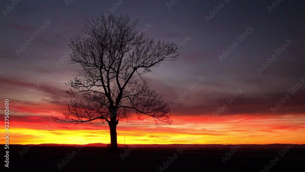 Lonely tree in dramatic sunset, Central Bohemian Upland, Czech Republic Lonely tree in dramatic sunset, Central Bohemian Upland, Czech Republic