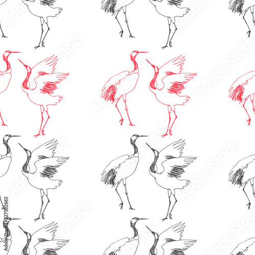 Vector seamless pattern with dancing cranes couple isolated on white. Hand drawn texture with beautiful birds. Animal sketch.