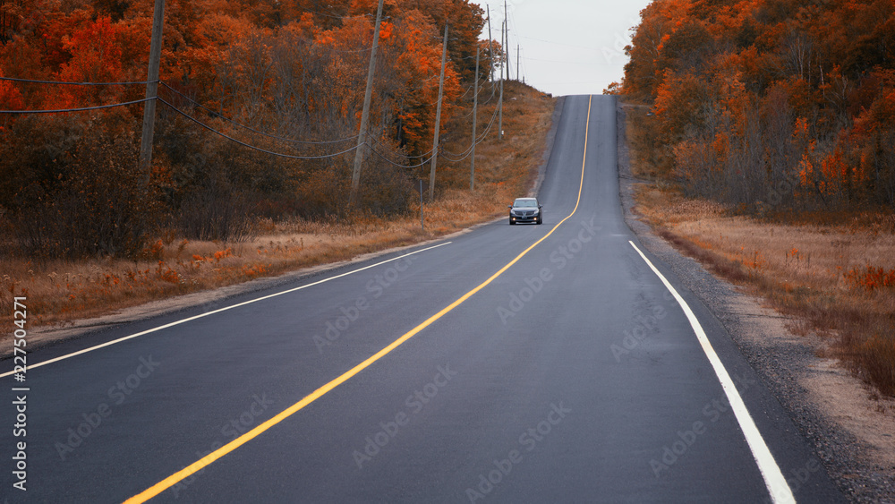 Naklejka premium Driving on the highway and chasing the gold colours of Fall, Muskoka, Ontario, Canada. 