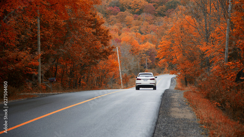 Fototapeta Naklejka Na Ścianę i Meble -  Driving on the highway and chasing the gold colours of Fall, Muskoka, Ontario, Canada. 
