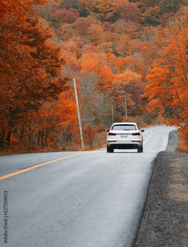 Driving on the highway and chasing the gold colours of Fall, Muskoka, Ontario, Canada. 